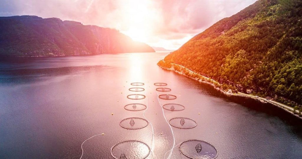 Norwegian sea farm